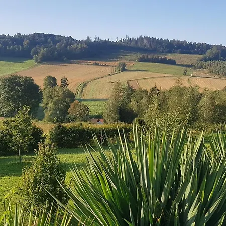 W Sercu Kotliny - Luksusowe 8 Osobowe Z Balia Opalana Drewnem I Widokiem Na Gory Villa *