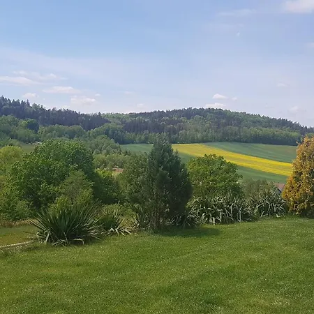 Villa W Sercu Kotliny - Luksusowe 8 Osobowe Z Balia Opalana Drewnem I Widokiem Na Gory Klodzko