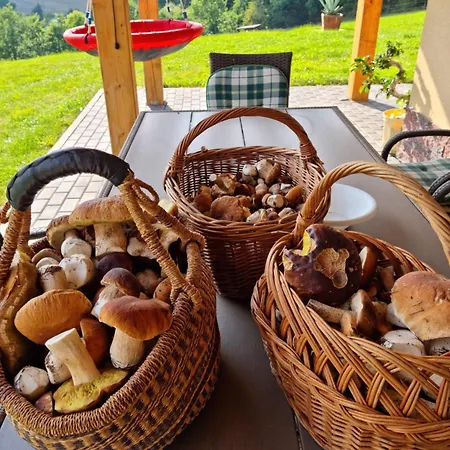 W Sercu Kotliny - Luksusowe 8 Osobowe Z Balia Opalana Drewnem I Widokiem Na Gory * Marcinow