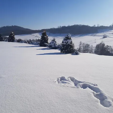 W Sercu Kotliny - Luksusowe 8 Osobowe Z Balia Opalana Drewnem I Widokiem Na Gory Villa *