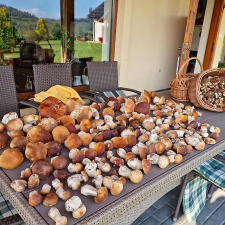 Villa W Sercu Kotliny - Luksusowe 8 Osobowe Z Balia Opalana Drewnem I Widokiem Na Gory Klodzko