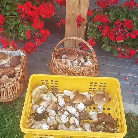 W Sercu Kotliny - Luksusowe 8 Osobowe Z Balia Opalana Drewnem I Widokiem Na Gory Vila Marcinow