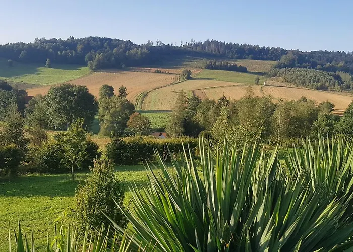 W Sercu Kotliny - Luksusowe 8 Osobowe Z Balia Opalana Drewnem I Widokiem Na Gory Villa *