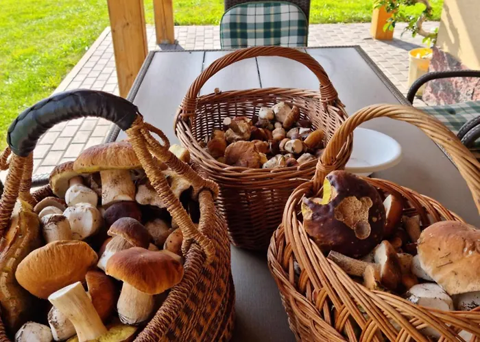 W Sercu Kotliny - Luksusowe 8 Osobowe Z Balia Opalana Drewnem I Widokiem Na Gory * Marcinow