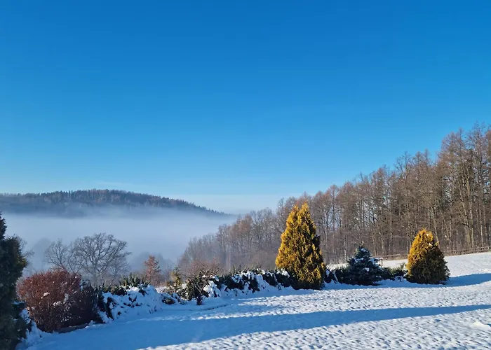 Villa W Sercu Kotliny - Luksusowe 8 Osobowe Z Balia Opalana Drewnem I Widokiem Na Gory