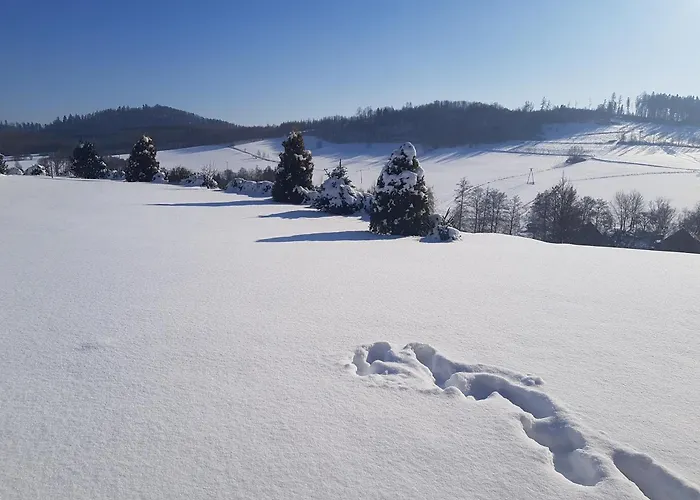 W Sercu Kotliny - Luksusowe 8 Osobowe Z Balia Opalana Drewnem I Widokiem Na Gory Villa *