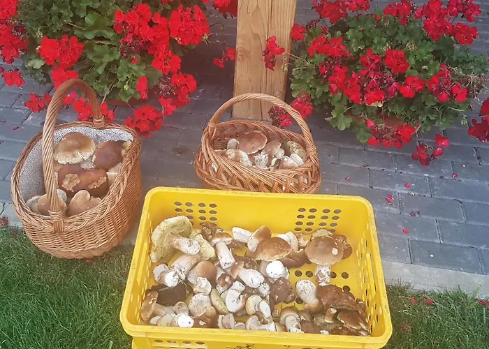 W Sercu Kotliny - Luksusowe 8 Osobowe Z Balia Opalana Drewnem I Widokiem Na Gory Villa Marcinow